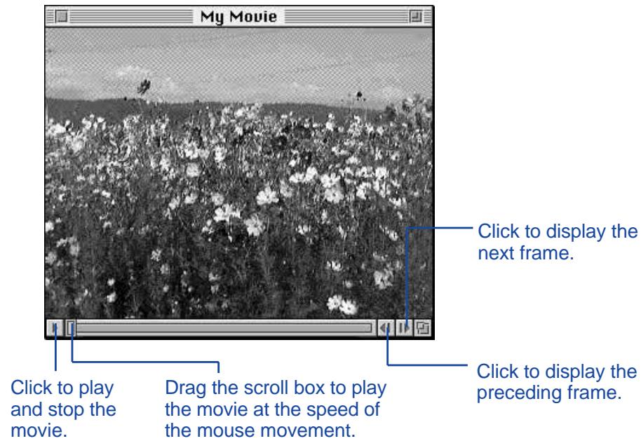 KONICA MINOLTA DIMAGE V SOFTWARE-MAC - THE MOVIE WINDOW - 1