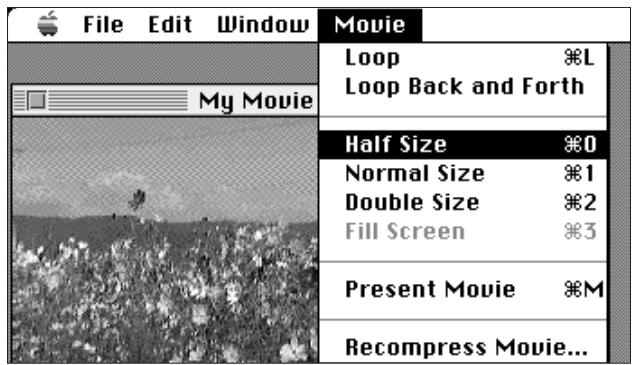 KONICA MINOLTA DIMAGE V SOFTWARE-MAC - DISPLAY OPTIONS - 1