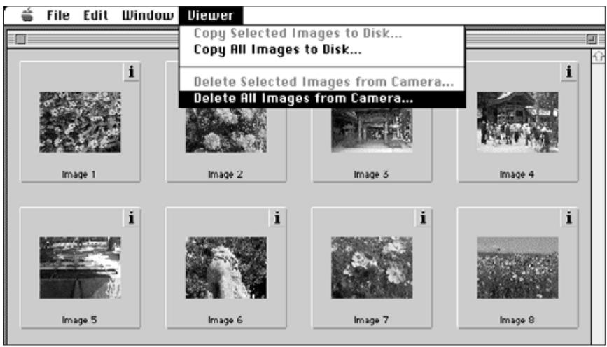 KONICA MINOLTA DIMAGE V SOFTWARE-MAC - DELETING ALL IMAGES - 1