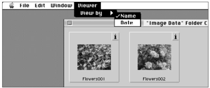 KONICA MINOLTA DIMAGE V SOFTWARE-MAC - SORTING IMAGES - 2