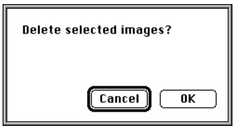 KONICA MINOLTA DIMAGE V SOFTWARE-MAC - DELETING SELECTED IMAGES - 2