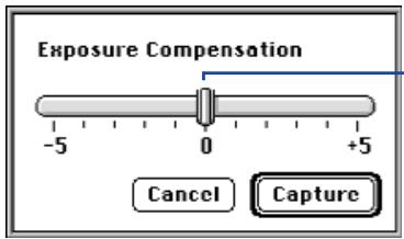 KONICA MINOLTA DIMAGE V SOFTWARE-MAC - EXPOSURE COMPENSATION - 1