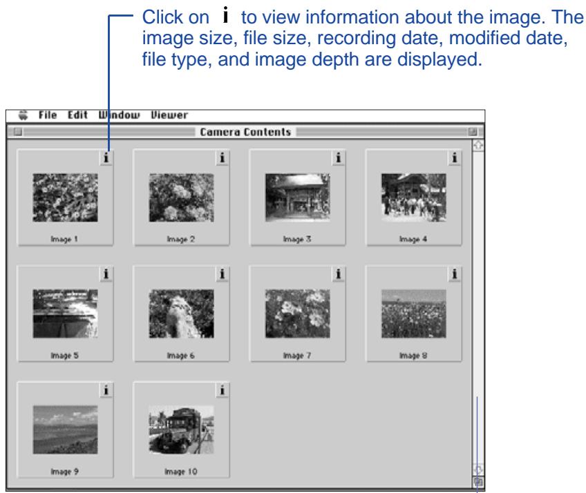 KONICA MINOLTA DIMAGE V SOFTWARE-MAC - To Display Camera Images: - 3