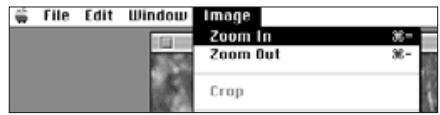 KONICA MINOLTA DIMAGE V SOFTWARE-MAC - MAGNIFYING OR REDUCING THE VIEW - 1