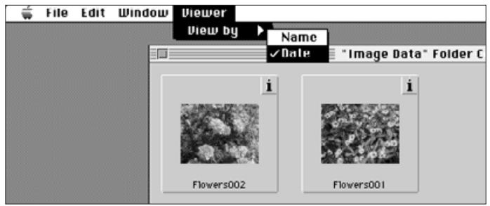 KONICA MINOLTA DIMAGE V SOFTWARE-MAC - SORTING IMAGES - 3