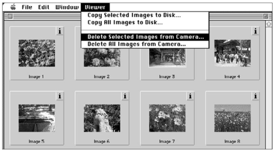 KONICA MINOLTA DIMAGE V SOFTWARE-MAC - DELETING SELECTED IMAGES - 1