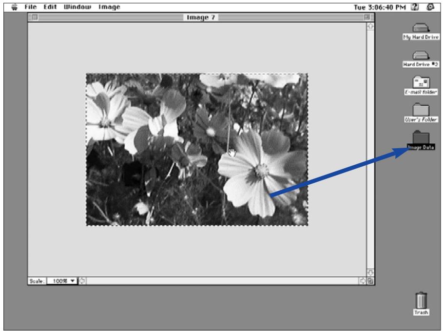 KONICA MINOLTA DIMAGE V SOFTWARE-MAC - CROPPING IMAGES - 3