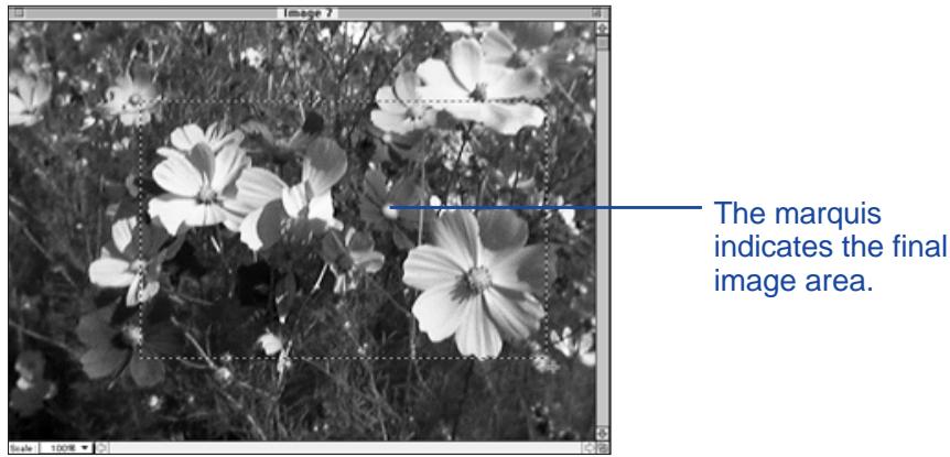 KONICA MINOLTA DIMAGE V SOFTWARE-MAC - CROPPING IMAGES - 1