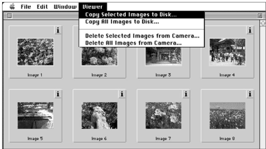 KONICA MINOLTA DIMAGE V SOFTWARE-MAC - COPYING SELECTED IMAGES - 1