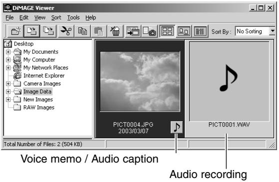 KONICA MINOLTA DIMAGE VIEWER VER2.2 - OPENING AUDIO FILES - 1