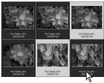 KONICA MINOLTA DIMAGE VIEWER VER2.2 - SELECTING THUMBNAILS - 1