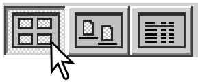 KONICA MINOLTA DIMAGE VIEWER VER2.2 - CHANGING THE DISPLAY FORMAT - 2