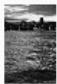 KONICA MINOLTA DIMAGE VIEWER VER2.2 - Create Index Sheet - 4