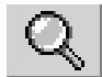 KONICA MINOLTA DIMAGE VIEWER VER2.2 - Magnifying tool - 1
