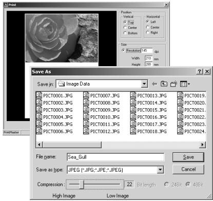 KONICA MINOLTA DIMAGE VIEWER VER2.2 - AREA MARQUEE - SAVING OR PRINTING A PORTION OF AN IMAGE - 3