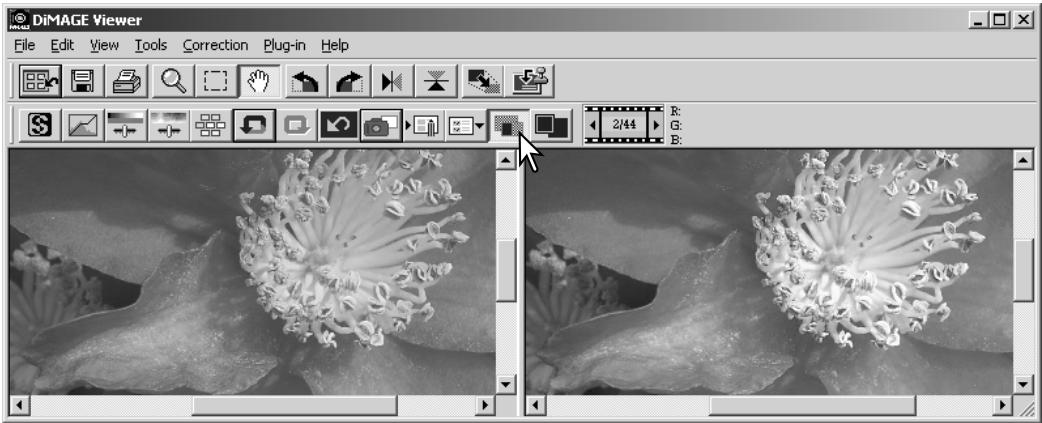 KONICA MINOLTA DIMAGE VIEWER VER2.2 - COMPARING PRE AND POST CORRECTION IMAGES - 2