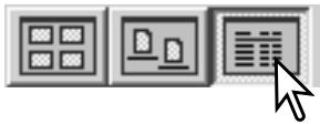 KONICA MINOLTA DIMAGE VIEWER VER2.2 - CHANGING THE DISPLAY FORMAT - 4