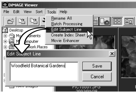 KONICA MINOLTA DIMAGE VIEWER VER2.2 - EDITING THE SUBJECT LINE - 2