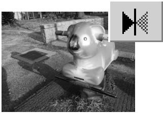 KONICA MINOLTA DIMAGE VIEWER VER2.2 - FLIP AND ROTATE IMAGES - 5