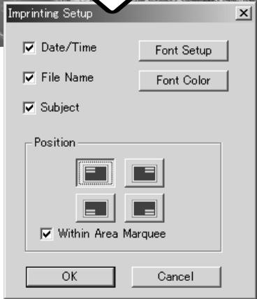 KONICA MINOLTA DIMAGE VIEWER VER2.2 - DATA IMPRINTING - 3