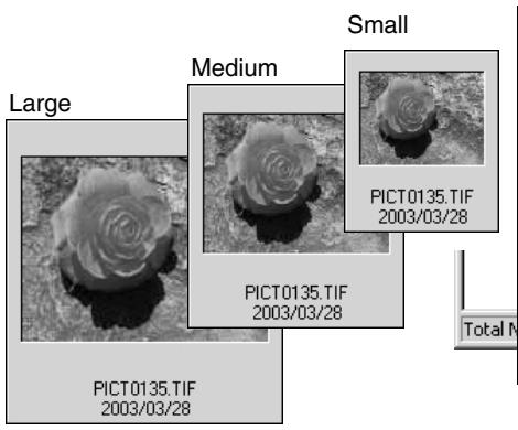 KONICA MINOLTA DIMAGE VIEWER VER2.2 - CHANGING THE THUMBNAIL FORMAT - 2