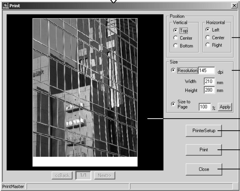 KONICA MINOLTA DIMAGE VIEWER VER2.2 - PRINTING - 2