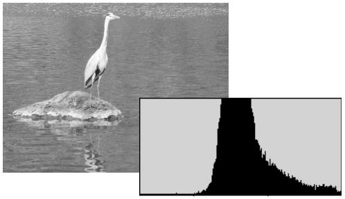 KONICA MINOLTA DIMAGE VIEWER VER2.2 - A SHORT GUIDE TO HISTOGRAM CORRECTIONS - 2