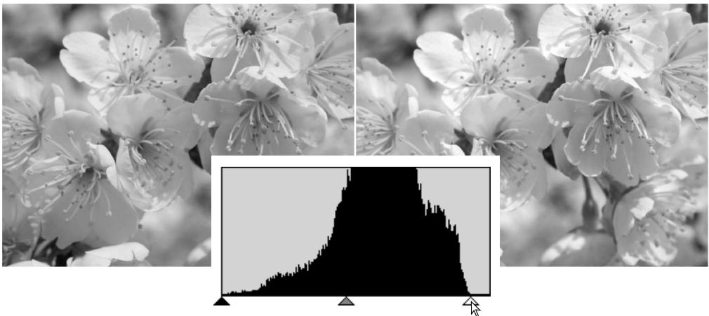 KONICA MINOLTA DIMAGE VIEWER VER2.2 - A SHORT GUIDE TO HISTOGRAM CORRECTIONS - 1
