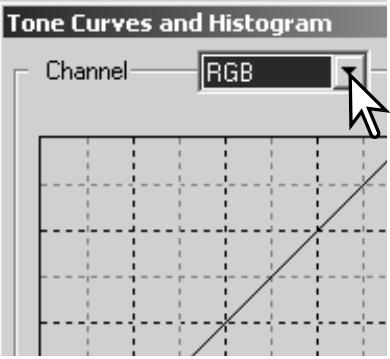 KONICA MINOLTA DIMAGE VIEWER VER2.3 - USING THE TONE CURVE - 1