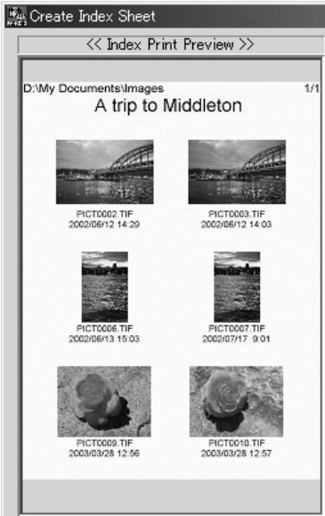 KONICA MINOLTA DIMAGE VIEWER VER2.3 - CREATING AN INDEX SHEET - 2