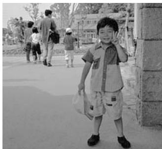 KONICA MINOLTA DIMAGE VIEWER VER2.3 - Bring out detail in the shadows - 3