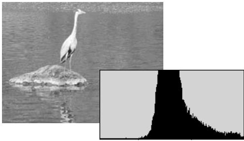 KONICA MINOLTA DIMAGE VIEWER VER2.3 - A SHORT GUIDE TO HISTOGRAM CORRECTIONS - 2