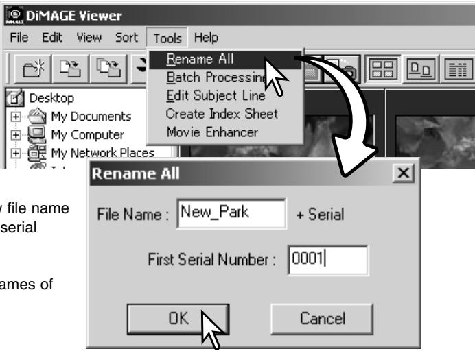 KONICA MINOLTA DIMAGE VIEWER VER2.3 - RENAMING MULTIPLE FILES - 1