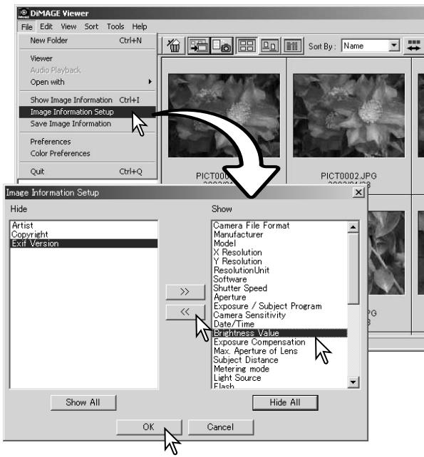 KONICA MINOLTA DIMAGE VIEWER VER2.3 - IMAGE INFORMATION SETUP - 1