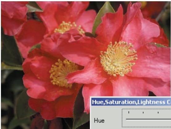 KONICA MINOLTA DIMAGE VIEWER VER2.3 - HUE CORRECTION EXAMPLE - 1