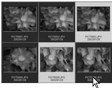 KONICA MINOLTA DIMAGE VIEWER VER2.3 - SELECTING THUMBAILS - 1