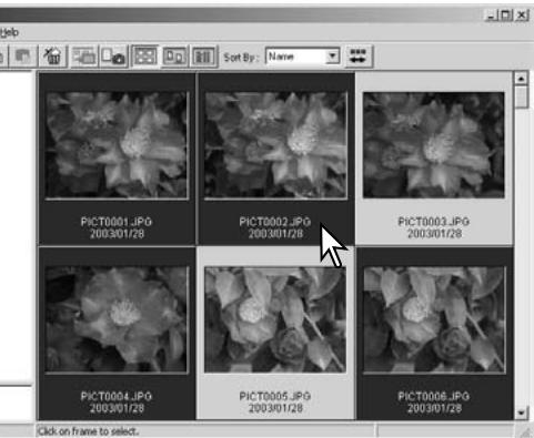 KONICA MINOLTA DIMAGE VIEWER VER2.3 - COPYING IMAGES TO ANOTHER FOLDER - 1