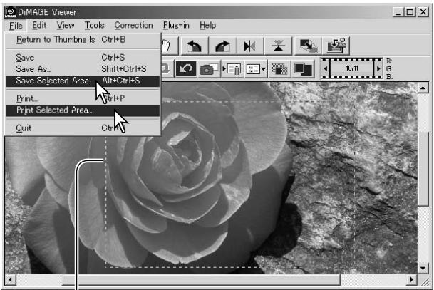 KONICA MINOLTA DIMAGE VIEWER VER2.3 - AREA MARQUEE - SAVING OR PRINTING A PORTION OF AN IMAGE - 2