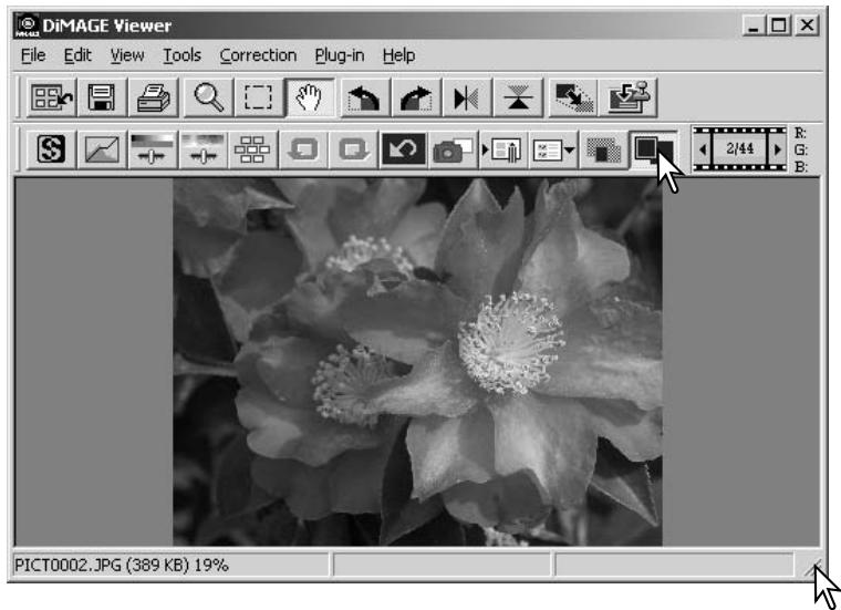 KONICA MINOLTA DIMAGE VIEWER VER2.3 - Fit-to-window button - 2