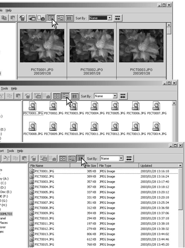 KONICA MINOLTA DIMAGE VIEWER VER2.3 - CHANGING THE DISPLAY FORMAT - 1