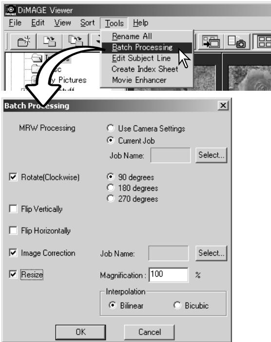 KONICA MINOLTA DIMAGE VIEWER VER2.3 - BATCH PROCESSING - 1