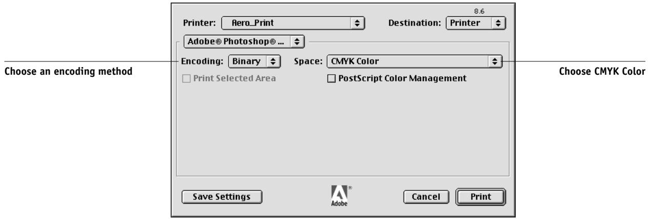 KONICA MINOLTA FIERY X3E FOR CF9001 (VER.2.0) - Choose an encoding method in the Print dialog box. - 1