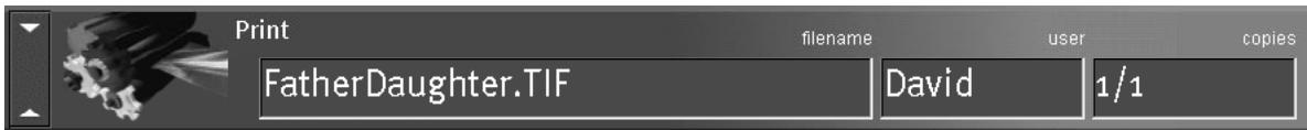 KONICA MINOLTA FIERY ZX-2100 FOR CF910 - Status bars - 1