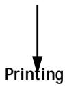 KONICA MINOLTA FIERY ZX-3300 FOR CF910 - Spooling - 2