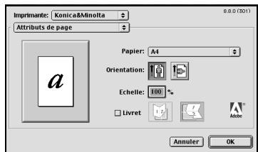 KONICA MINOLTA IC 203 1 - Procédé d'impression de base - 1