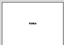 KONICA MINOLTA 7040 - Vertical/Horizontal Zoom - 2