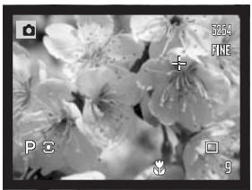 KONICA MINOLTA DIMAGE A2 - Shooting tips - 1
