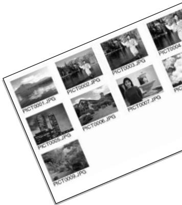 KONICA MINOLTA DIMAGE A2 - Index Print - 1