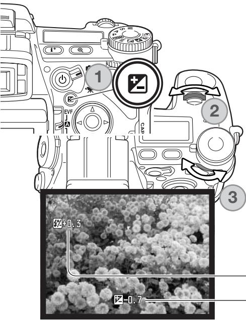 KONICA MINOLTA DIMAGE A2 - Exposure and Flash Compensation - 1