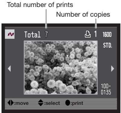 KONICA MINOLTA DIMAGE A2 - PictBridge - 2